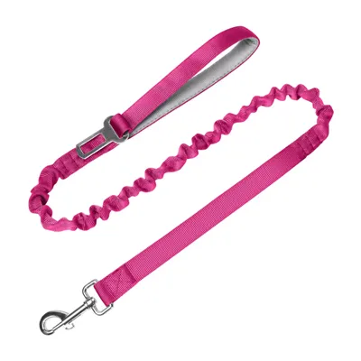 Bungee Dog Leash Biċ-ċinturin tas-Sigurtà
