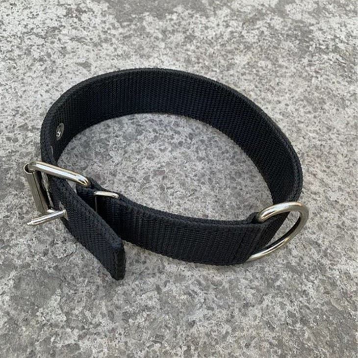 Wide Dog Collars For Large Breeds suppliers